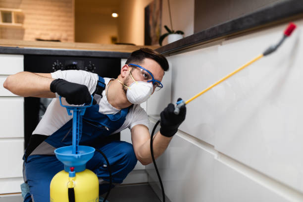 Reliable Vincennes, IN Pest Control Solutions