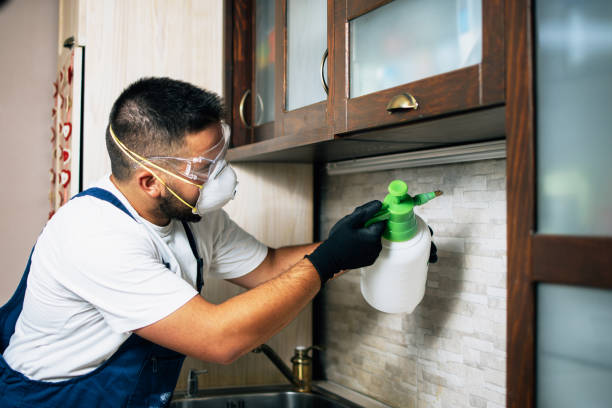Wasp Removal Services in Vincennes, IN