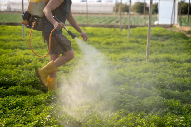 Best Pest Prevention Services  in Vcennes, IN