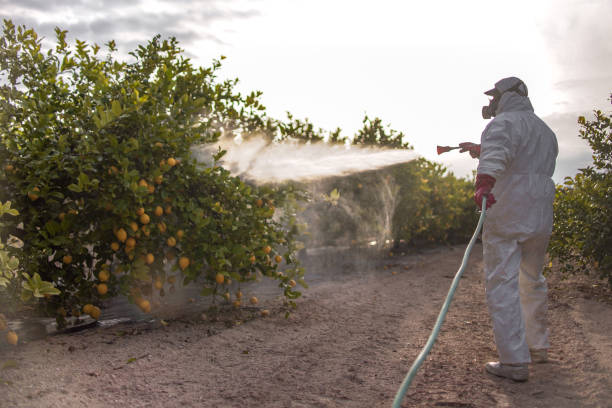 Best Pest Control Near Me  in Vcennes, IN