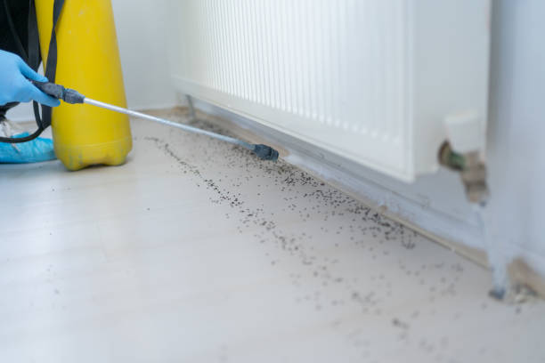 Best Insect Control  in Vcennes, IN