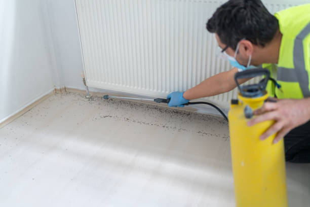 Reliable Vincennes, IN Pest Control Solutions